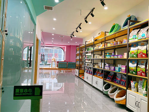 投资宠物店所需资金及店铺工具概览