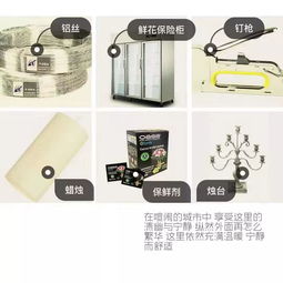 开花店必备工具和辅材