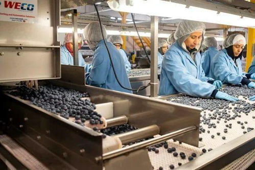 温哥华低陆平原疫情扩散 多类场所爆新增感染