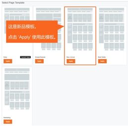 Lazada店铺装修工具使用指南及模板解析